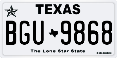 TX license plate BGU9868