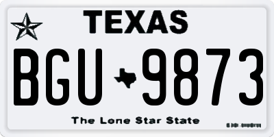 TX license plate BGU9873