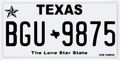TX license plate BGU9875