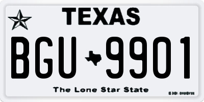 TX license plate BGU9901