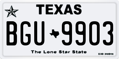 TX license plate BGU9903