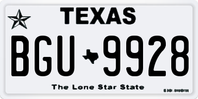 TX license plate BGU9928