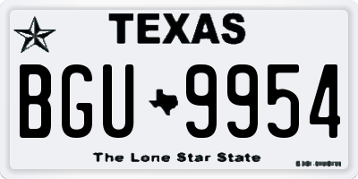 TX license plate BGU9954