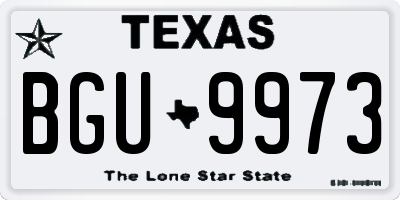 TX license plate BGU9973