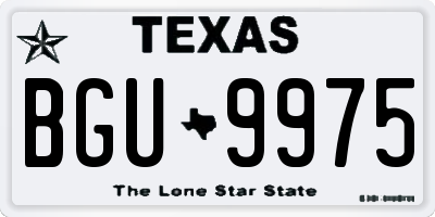 TX license plate BGU9975