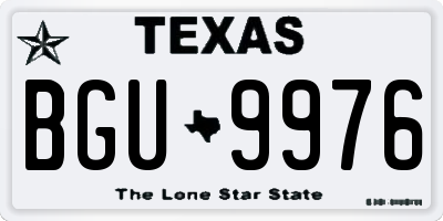 TX license plate BGU9976