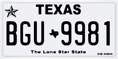 TX license plate BGU9981