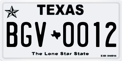TX license plate BGV0012
