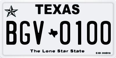 TX license plate BGV0100