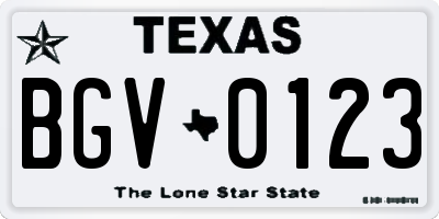TX license plate BGV0123