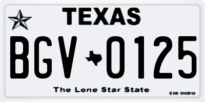 TX license plate BGV0125