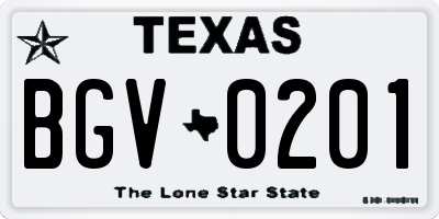 TX license plate BGV0201