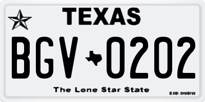 TX license plate BGV0202