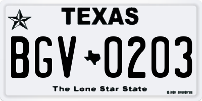 TX license plate BGV0203