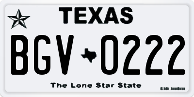 TX license plate BGV0222