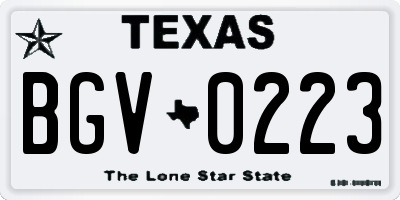 TX license plate BGV0223