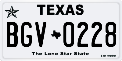 TX license plate BGV0228