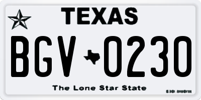 TX license plate BGV0230