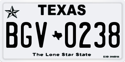 TX license plate BGV0238