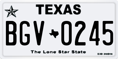 TX license plate BGV0245