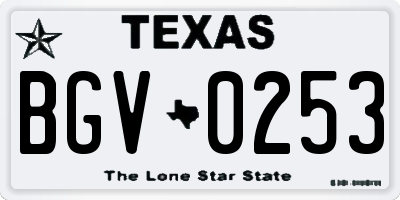 TX license plate BGV0253
