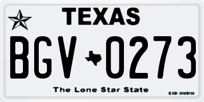 TX license plate BGV0273