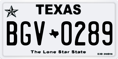 TX license plate BGV0289