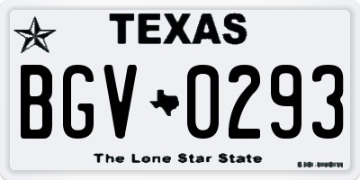 TX license plate BGV0293