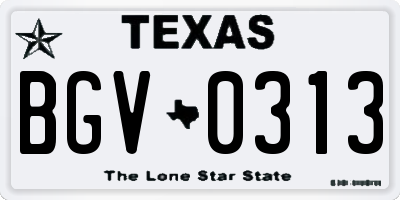 TX license plate BGV0313