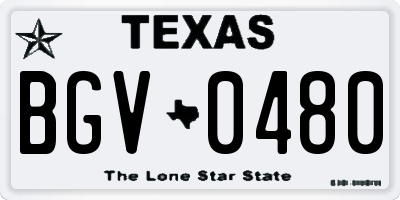 TX license plate BGV0480