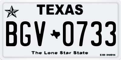 TX license plate BGV0733