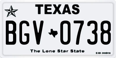 TX license plate BGV0738