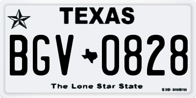 TX license plate BGV0828