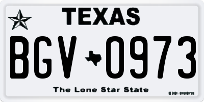 TX license plate BGV0973