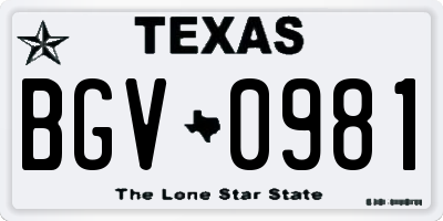 TX license plate BGV0981