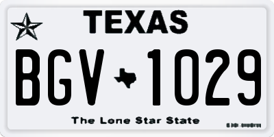 TX license plate BGV1029