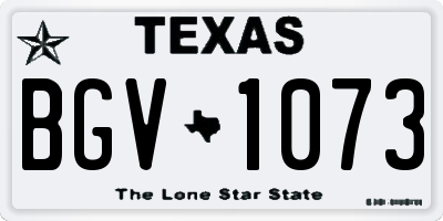 TX license plate BGV1073