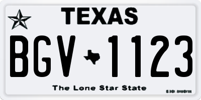 TX license plate BGV1123