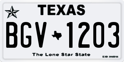 TX license plate BGV1203