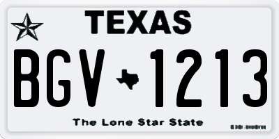 TX license plate BGV1213
