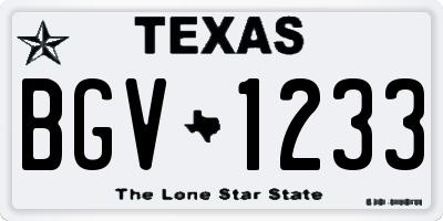 TX license plate BGV1233