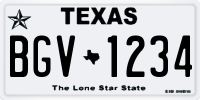 TX license plate BGV1234