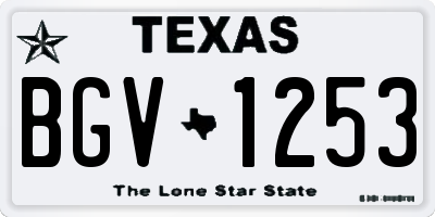 TX license plate BGV1253
