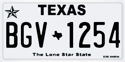 TX license plate BGV1254
