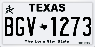 TX license plate BGV1273