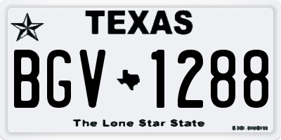 TX license plate BGV1288