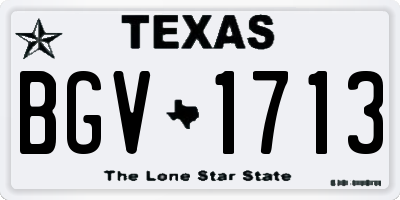 TX license plate BGV1713