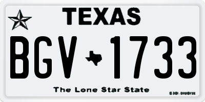 TX license plate BGV1733