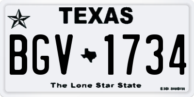 TX license plate BGV1734