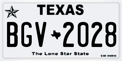 TX license plate BGV2028